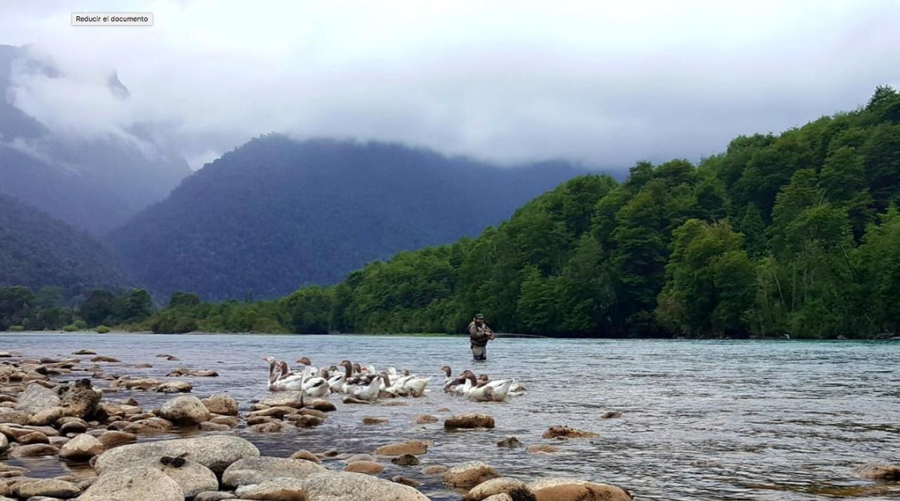 Cabanas Nutrias Patagonicas Puelo River Esterno foto
